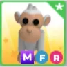 MFR ALBINO MONKEY