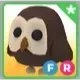 FR Owl