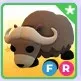 FR MUSK OX