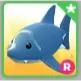 R SHARK