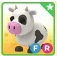 FR Cow