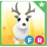 FR ARCTIC REINDEER