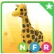 NFR Giraffe