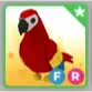 FR Parrot