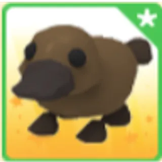 Platypus