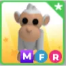 MFR ALBINO MONKEY