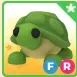 FR TURTLE