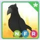 NFR Crow