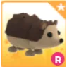Hedgehog