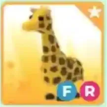 FR Giraffe