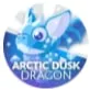 ARCTIC DUSK DRAGON