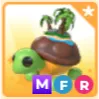 MFR TORTUGA DE LA ISLA