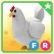 FR Chicken