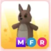 MFR KANGAROO