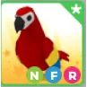NFR Parrot