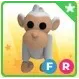 FR ALBINO MONKEY