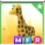 MFR Giraffe