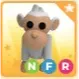 NFR ALBINO MONKEY