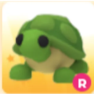 Turtle