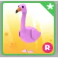 R FLAMINGO