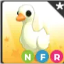 NFR Goose