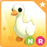 NR Goose