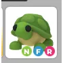 Turtle neon fr (cheap) adopt me