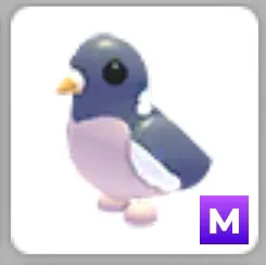 M Wood Pigeon