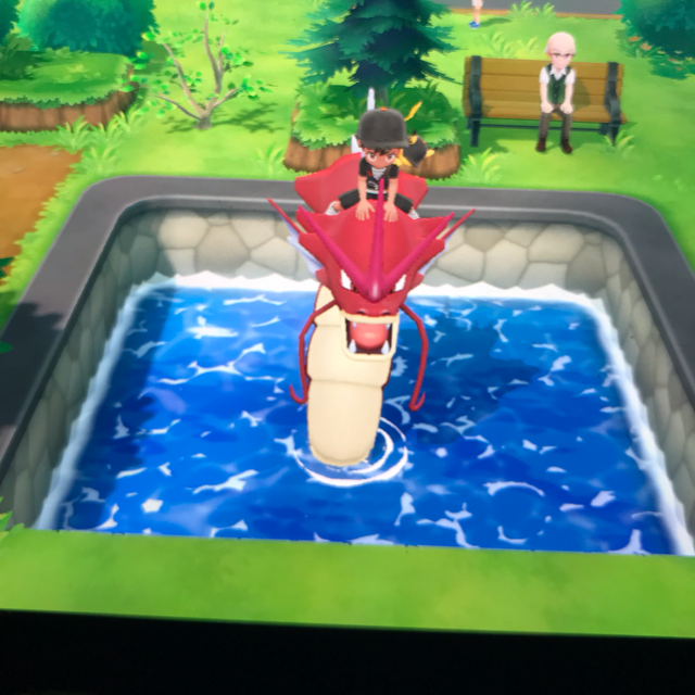 Gyarados Red Gyarados In Game Items Gameflip