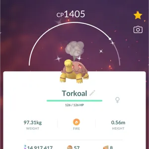 SHINY TORKOAL 1M