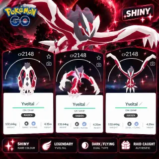 𝗦𝗛𝗜𝗡𝗬 𝗬𝗩𝗘𝗟𝗧𝗔𝗟 | Legendary | Trade Ready | Pokemon GO