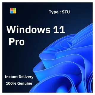 Windows 11 Pro OEM