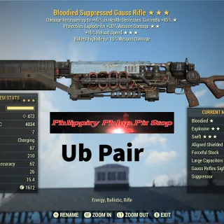 Be15r Gauss Rifle Pair