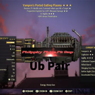 x2 Tradeable VE3A Fully Modded Gatling Plasma Pair 