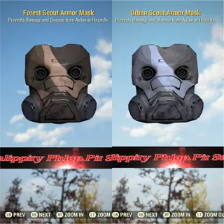 Forest and Urban Mask