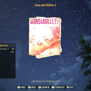 1K Guns and Bullets #3