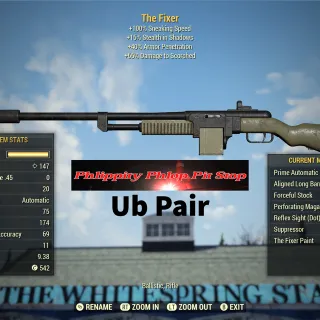 Fixer Pair W/ Your Choice of Mods 1-3 Star Mods