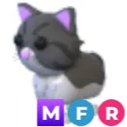 MFR Persian cat