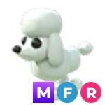 MFR Poodle