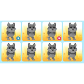 8x Wolf Bundle