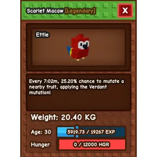 Huge scarlet macaw 65kg+ age 100