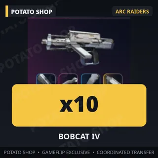 ARC Raiders | 10x BOBCAT IV