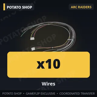 ARC Raiders / 10x Wires