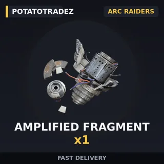 Amplified Fragments x1