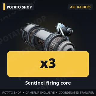 ARC Raiders | 3x Sentinel firing cor