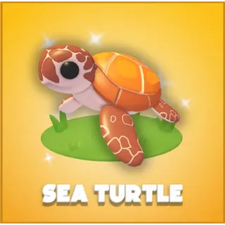 Sea Turtle