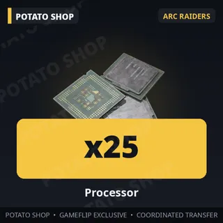 ARC Raiders | 25x Processor