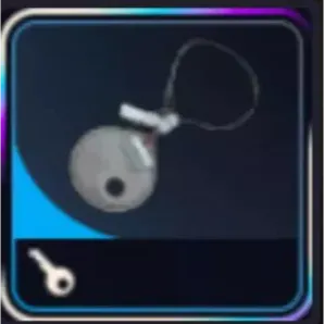 20x Raider Hatch Key