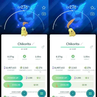 Shiny Chikorita With team Mystic background - Pokemon Go