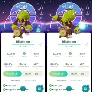 Pokémon Go - Shiny Rillaboom - Special Background